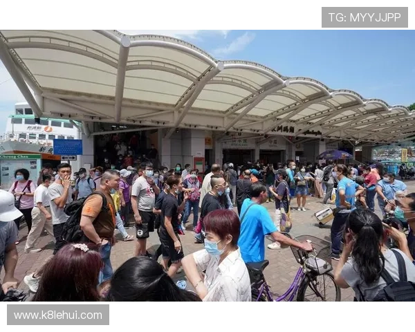 如何快速找到K8凯发app网址，提供详细步骤和常见问题解答指南